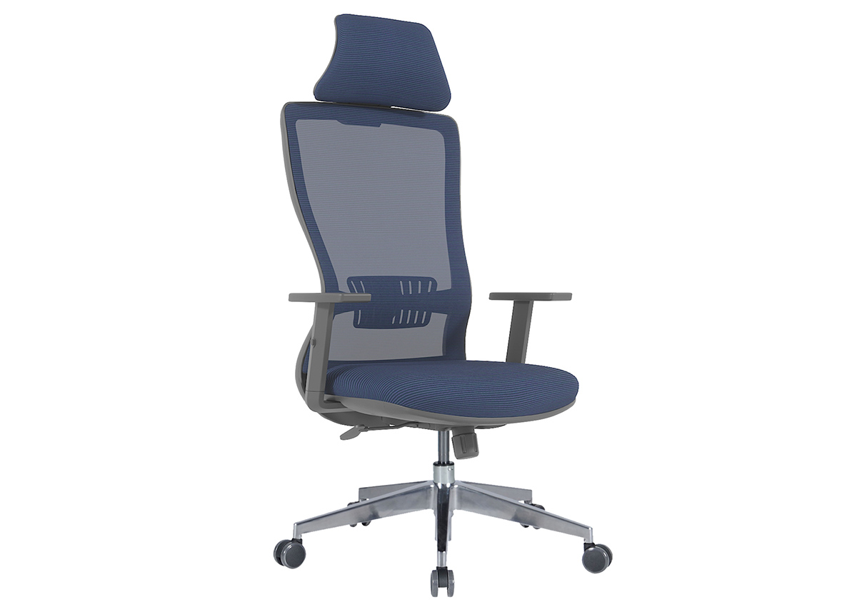 Arya Yönetici Koltuğu